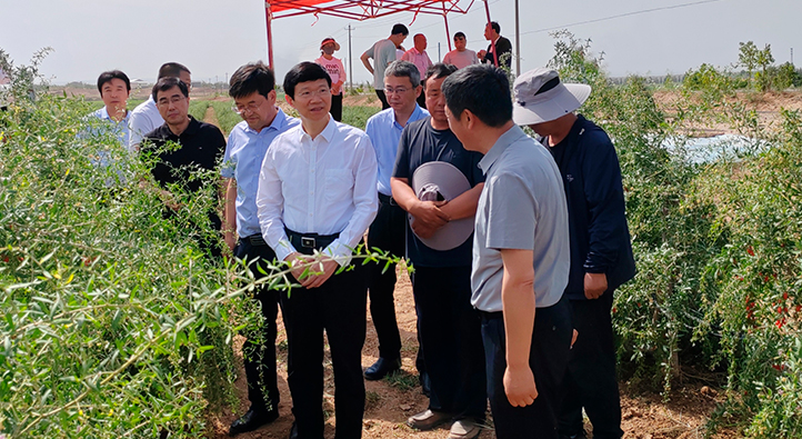 1749779569140014639.jpg 未标题-1.jpg